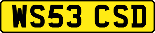 WS53CSD