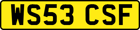 WS53CSF