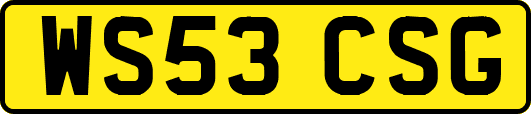 WS53CSG