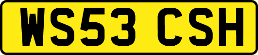 WS53CSH