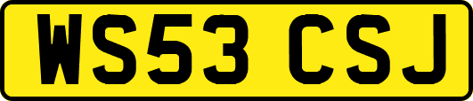 WS53CSJ
