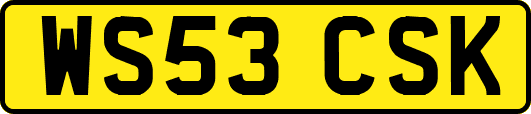 WS53CSK