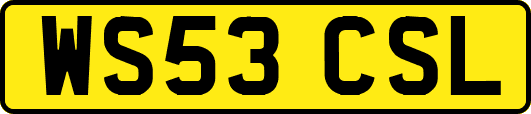 WS53CSL