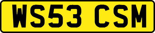 WS53CSM