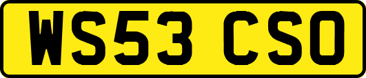 WS53CSO