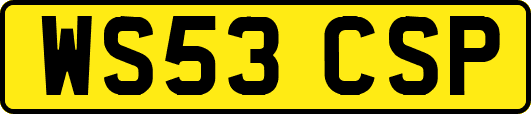 WS53CSP