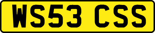 WS53CSS