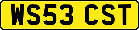 WS53CST