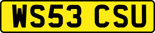 WS53CSU