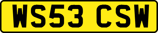 WS53CSW