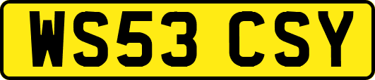WS53CSY