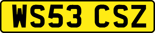 WS53CSZ