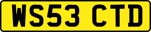 WS53CTD
