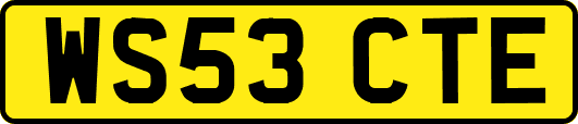 WS53CTE