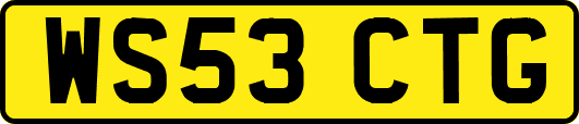 WS53CTG