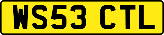 WS53CTL