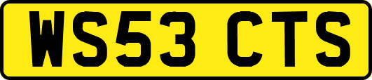 WS53CTS