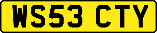 WS53CTY