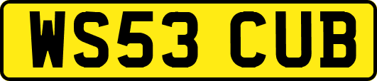 WS53CUB