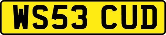 WS53CUD