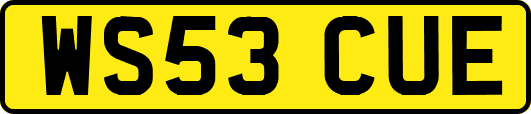 WS53CUE