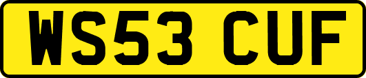 WS53CUF