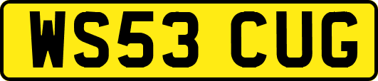 WS53CUG
