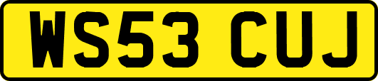WS53CUJ