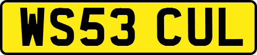 WS53CUL