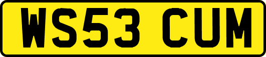WS53CUM
