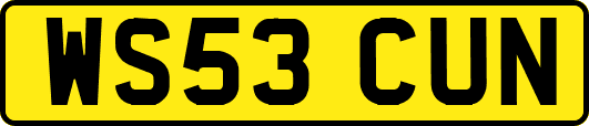 WS53CUN