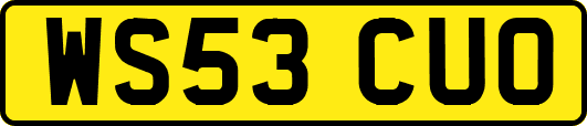 WS53CUO