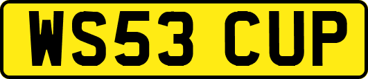 WS53CUP