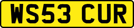 WS53CUR