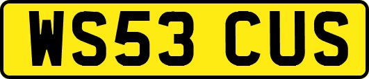 WS53CUS