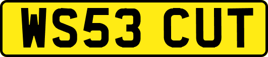 WS53CUT