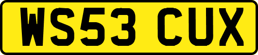WS53CUX