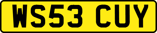 WS53CUY