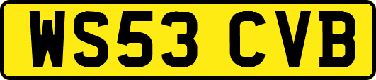 WS53CVB