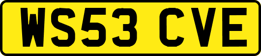 WS53CVE