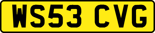 WS53CVG