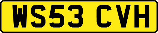 WS53CVH