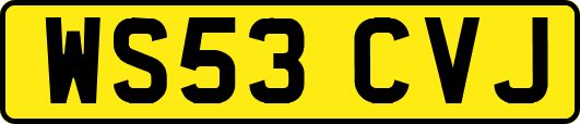 WS53CVJ