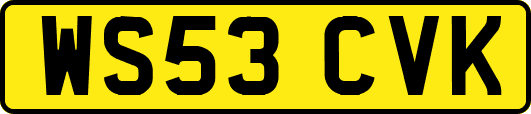WS53CVK