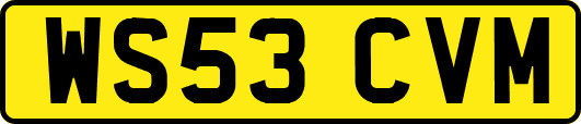WS53CVM