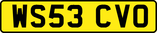 WS53CVO