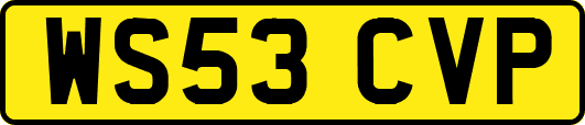 WS53CVP