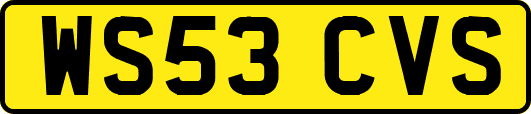 WS53CVS