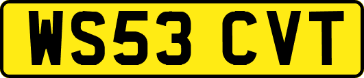 WS53CVT