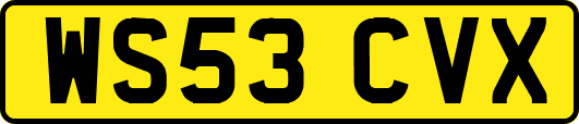 WS53CVX